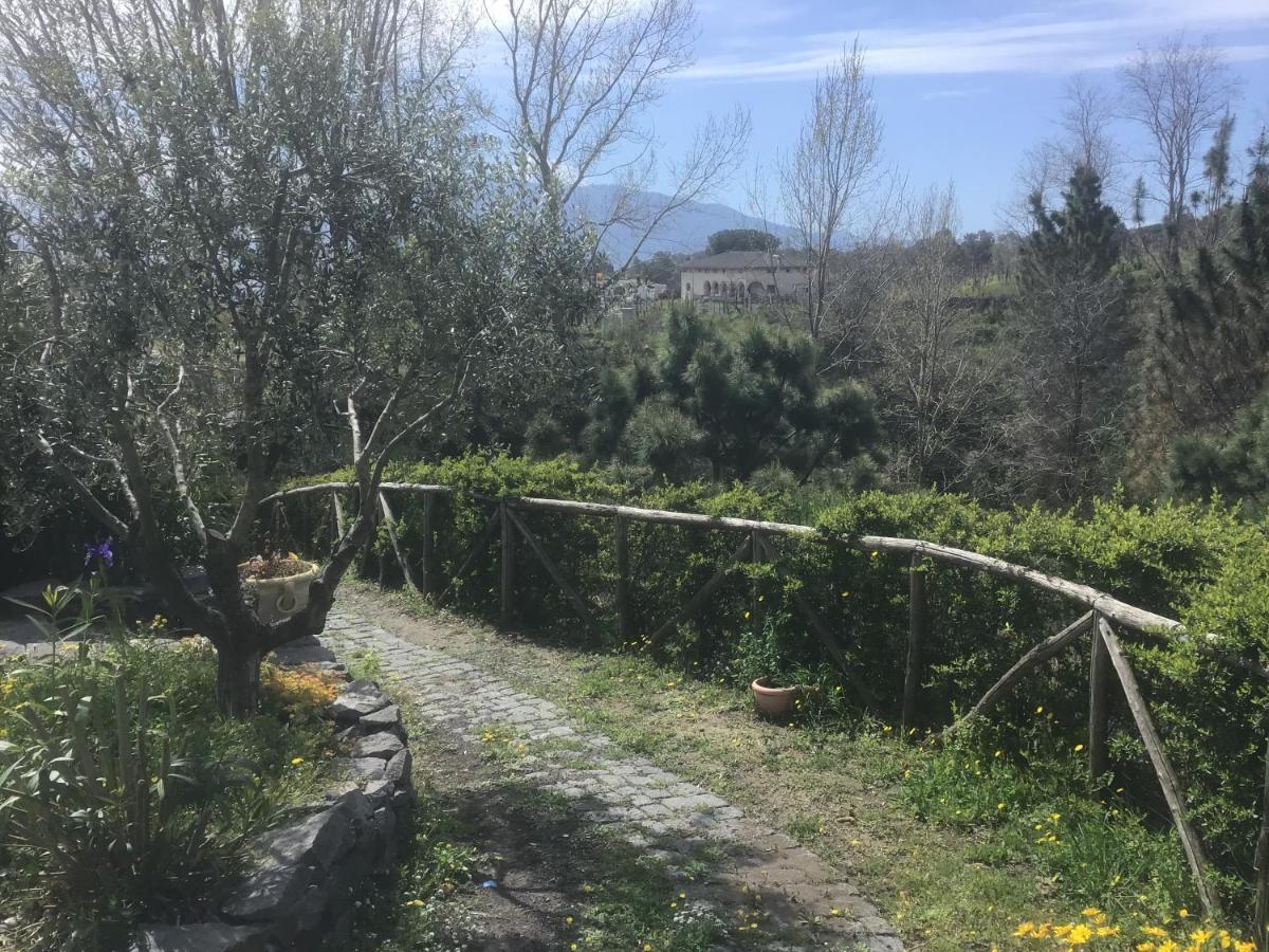Tenuta Terradifuoco Terzigno 外观 照片